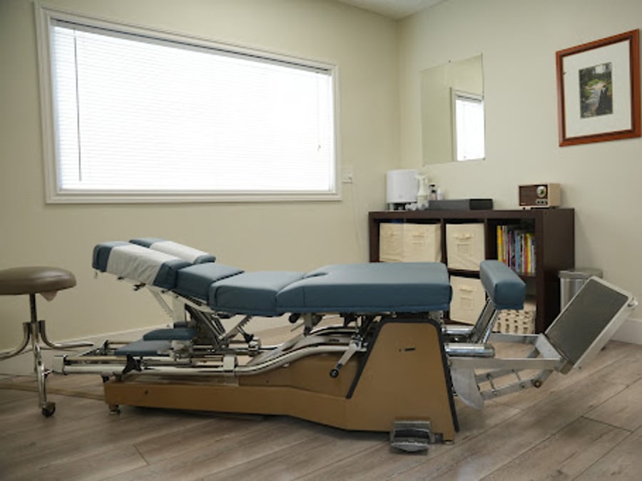 Protosoma Performance