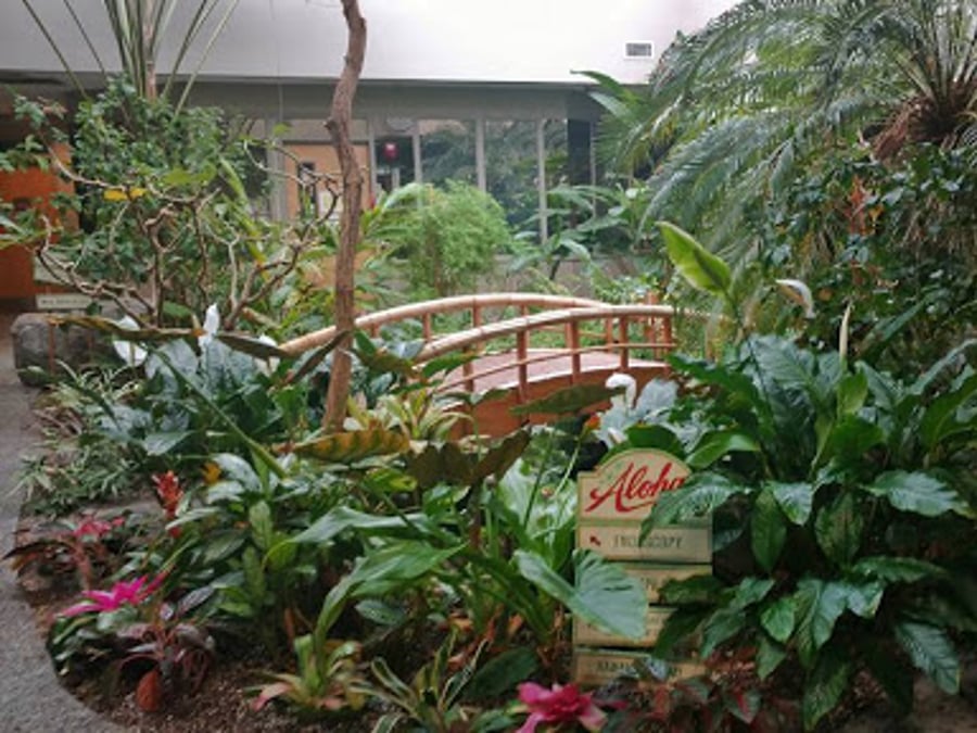 Center for Digestive Wellness