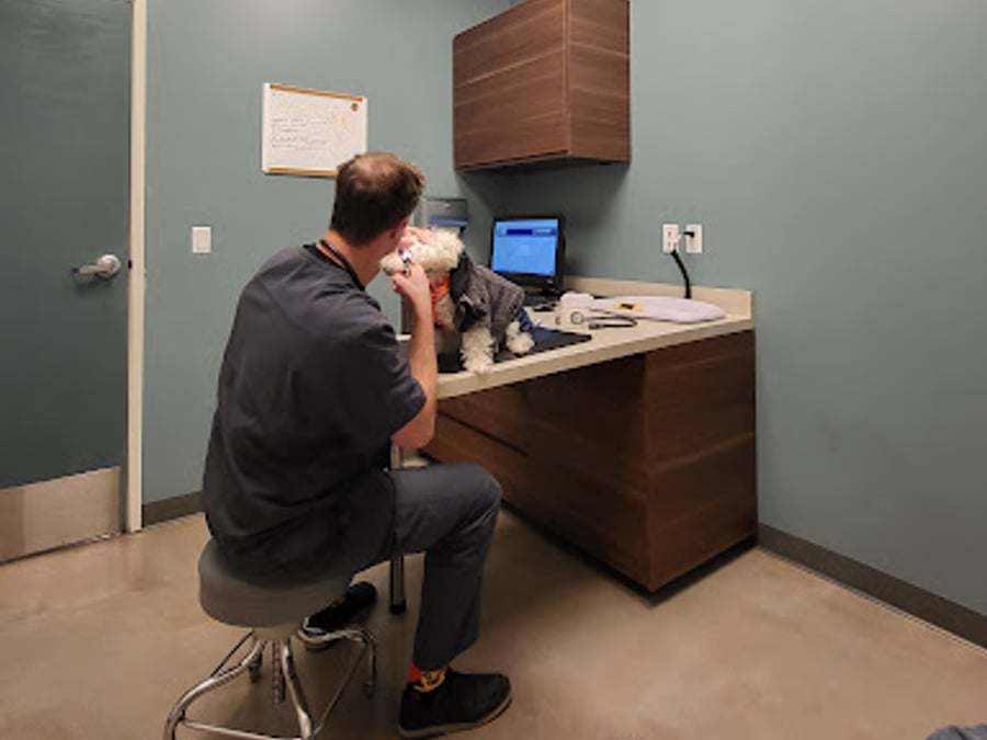 Pet Wellness Center, Veterinarian