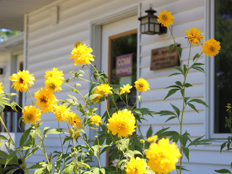 Champlain Center for Natural Medicine