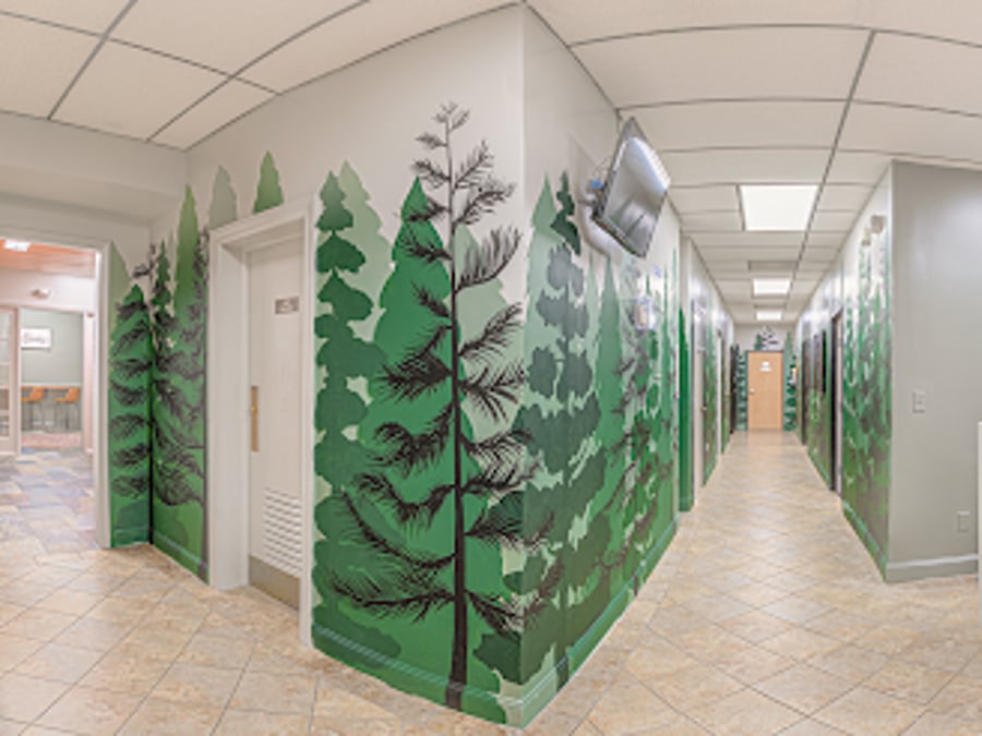 Otter House Wellness | Asheville Drug & Alcohol Rehab