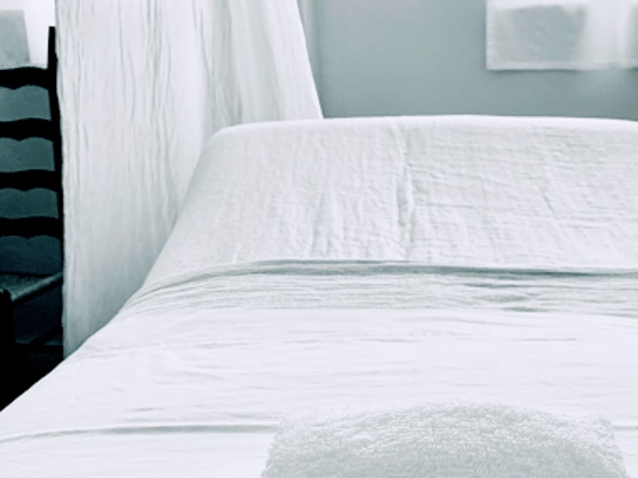 Green Fig Aesthetics & Wellness Spa