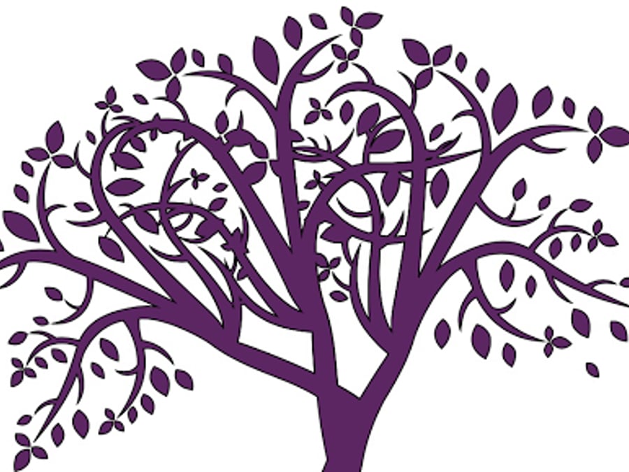 Beauty & Wellness Center
