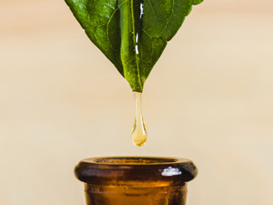 Illuminate Natural Health