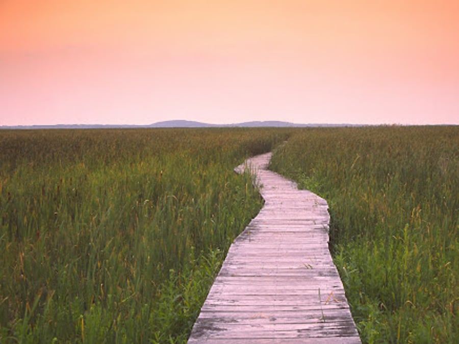 Essex Integrative Health, LLC