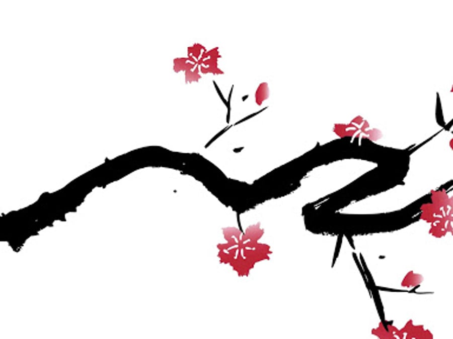 KayaKalp Acupuncture, LLC