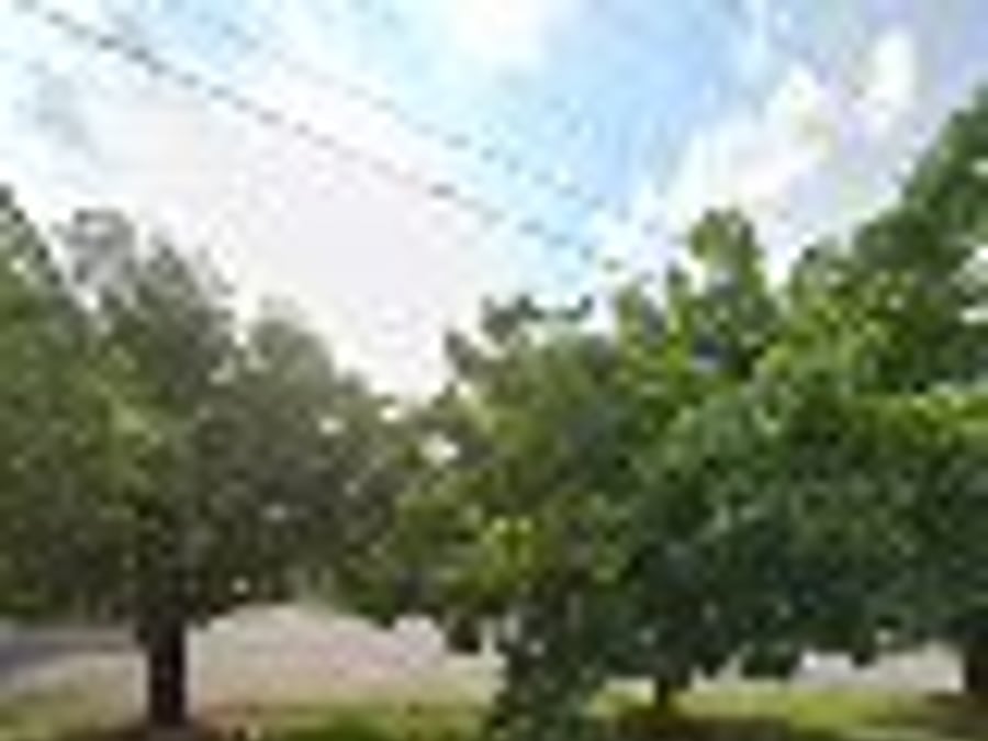 Kintegra Family Medicine - Hickory