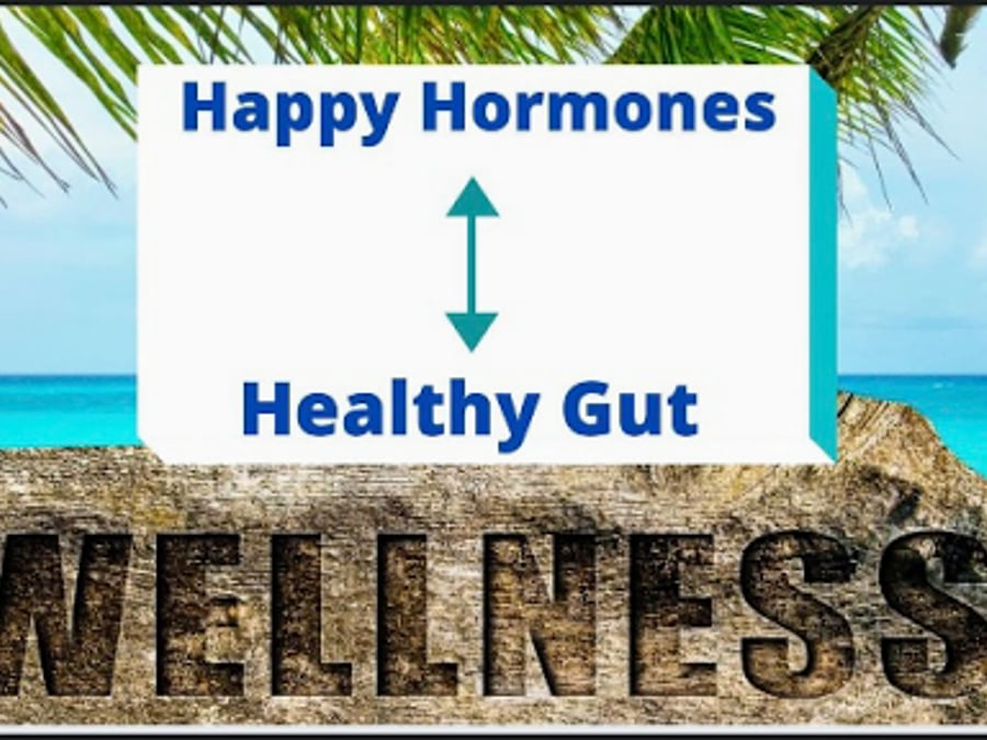 Fit Logic Functional Medicine
